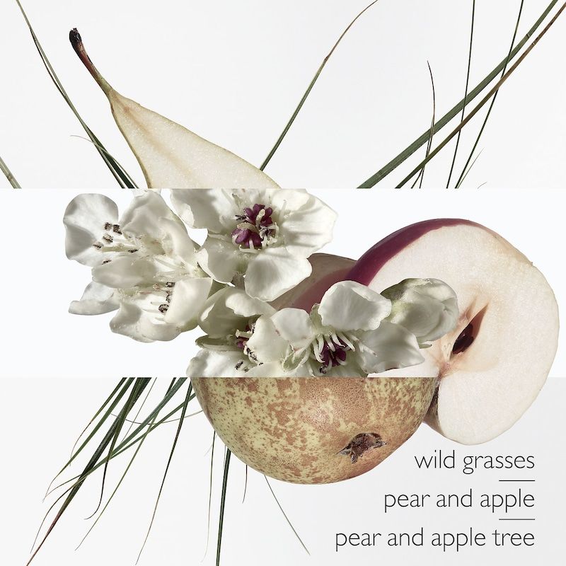 Hermes Jardin A Garden On The Roof Fresh Citrus 2011 3.4 Oz Unisex Eau De Toilette Spray